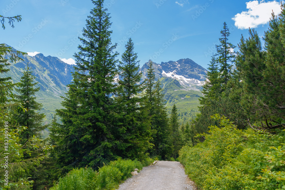 Fototapeta premium Path in the mountains. Summer landscape in the Tatras, Poland.