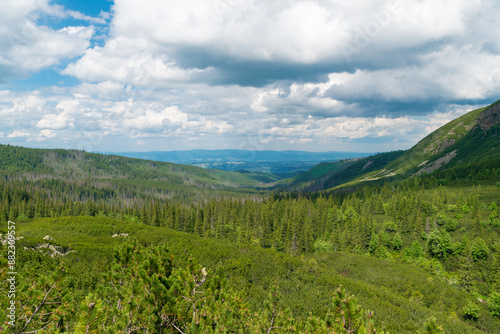 Beautiful summer landscape in the Tatra Mountains, Poland. Natural background. © bykot