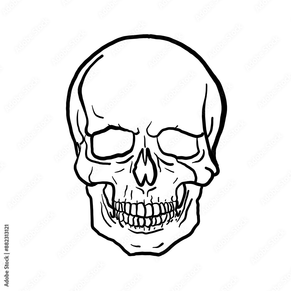 Obraz premium human skull illustration