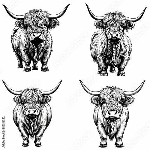 Highland cow black detailed vector silhouette illustration design set on white background photo