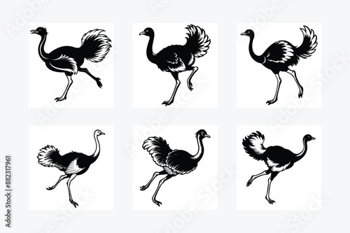 Ostrich is jumping silhouette vector art illustration  photo