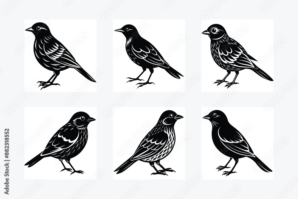 Fototapeta premium Illustration bird icon black silhouette vector art design