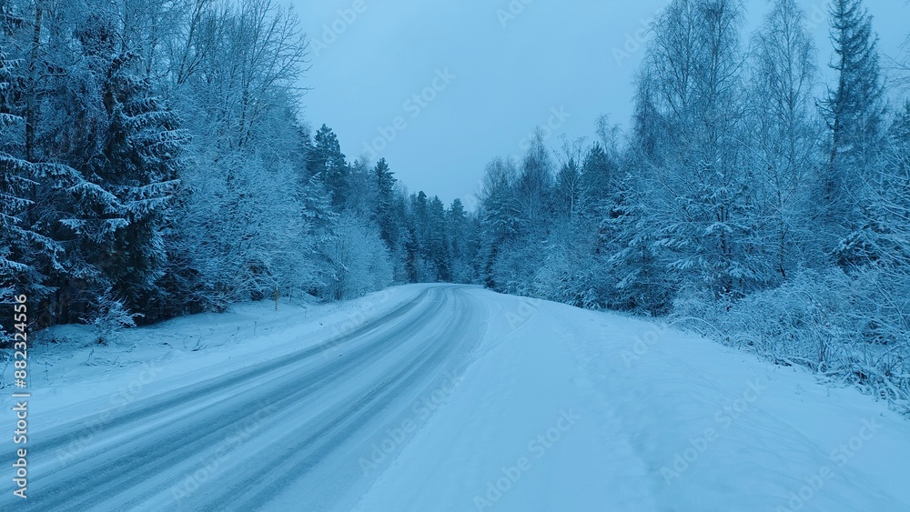 In winter, there is snow on the ground, road and trees. There is hoarfrost on the branches. There are tire tracks on the snow-covered road. Early twilight is coming. Overcast and frosty winter weather In winter, there is snow on the ground, road and trees. There is hoarfrost on the branches. There are tire tracks on the snow-covered road. Early twilight is coming. Overcast and frosty winter weather