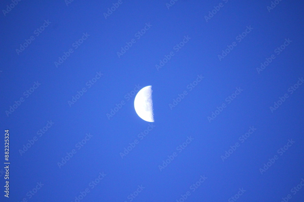 下弦の月　Halfmoon