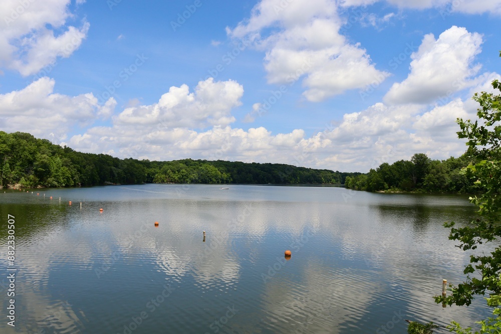 The calm lake in the countryside on a sunny day.