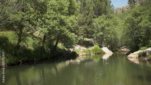 video panned from left to right of river with trees on either side. The water is calm and clear. The trees are green and lush