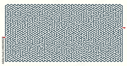 Complex rectangular labyrinth maze graphic. Labyrinth game illustration.