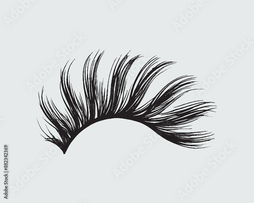 Eyelashes set on white background, girl, salon, vector illustration, mascara, illustration, beauty, eyelash, lash, vector, false, eye