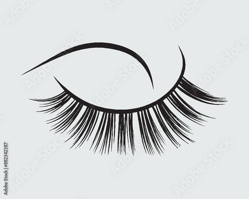 Eyelashes set on white background, girl, salon, vector illustration, mascara, illustration, beauty, eyelash, lash, vector, false, eye