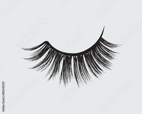 Eyelashes set on white background, girl, salon, vector illustration, mascara, illustration, beauty, eyelash, lash, vector, false, eye