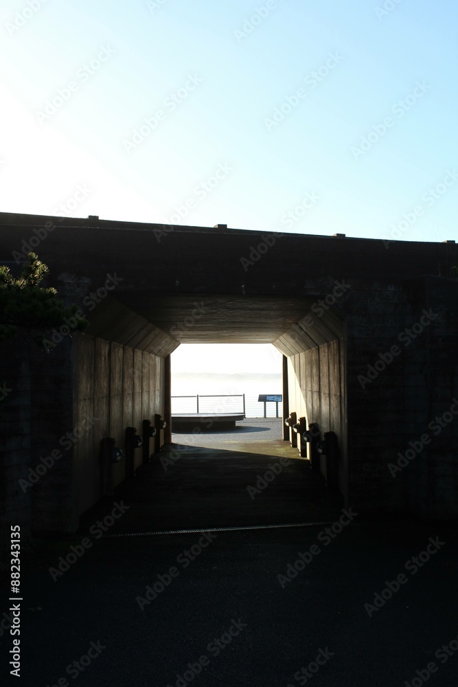 Obraz premium Sunlight Tunnel