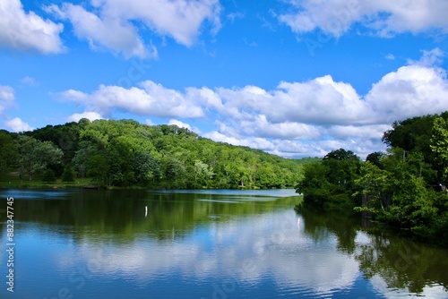 lake and forest