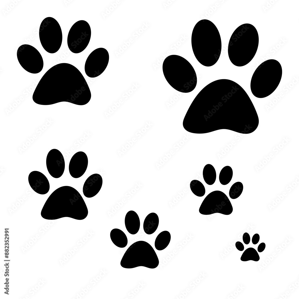 Fototapeta premium paw prints