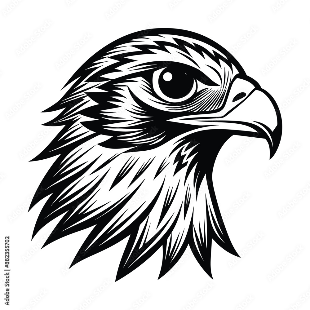 Fototapeta premium coloring book minimalistic hawk head vector art illustration