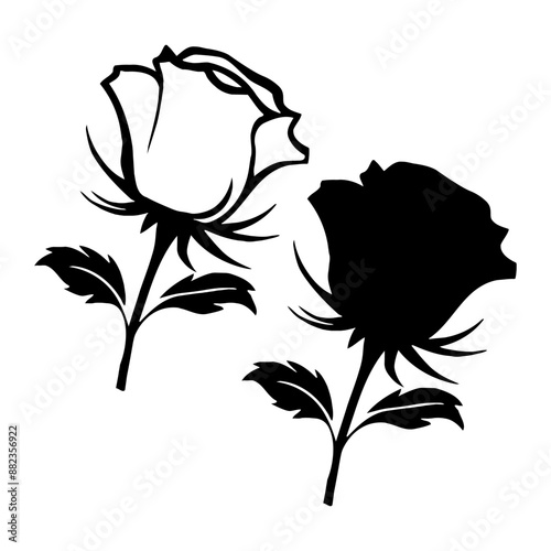 Rose flower silhouette with white background