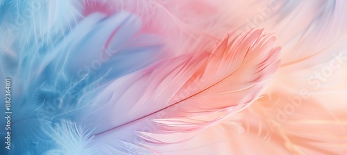 A soft pastel background featuring delicate feathers in shades of pink, blue and peach, creating an ethereal feel