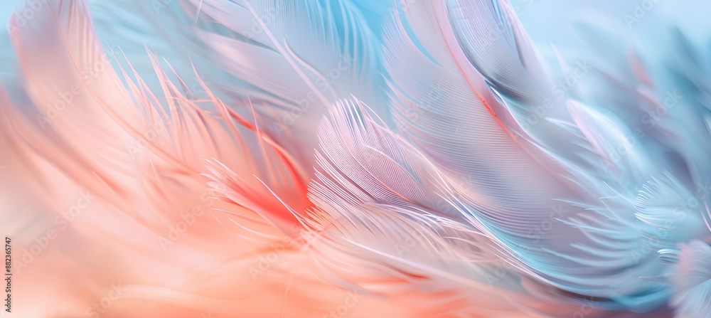 Abstract pastel pink and blue background with blurred feathers. Pastel color, soft lighting, and copy space for text or design