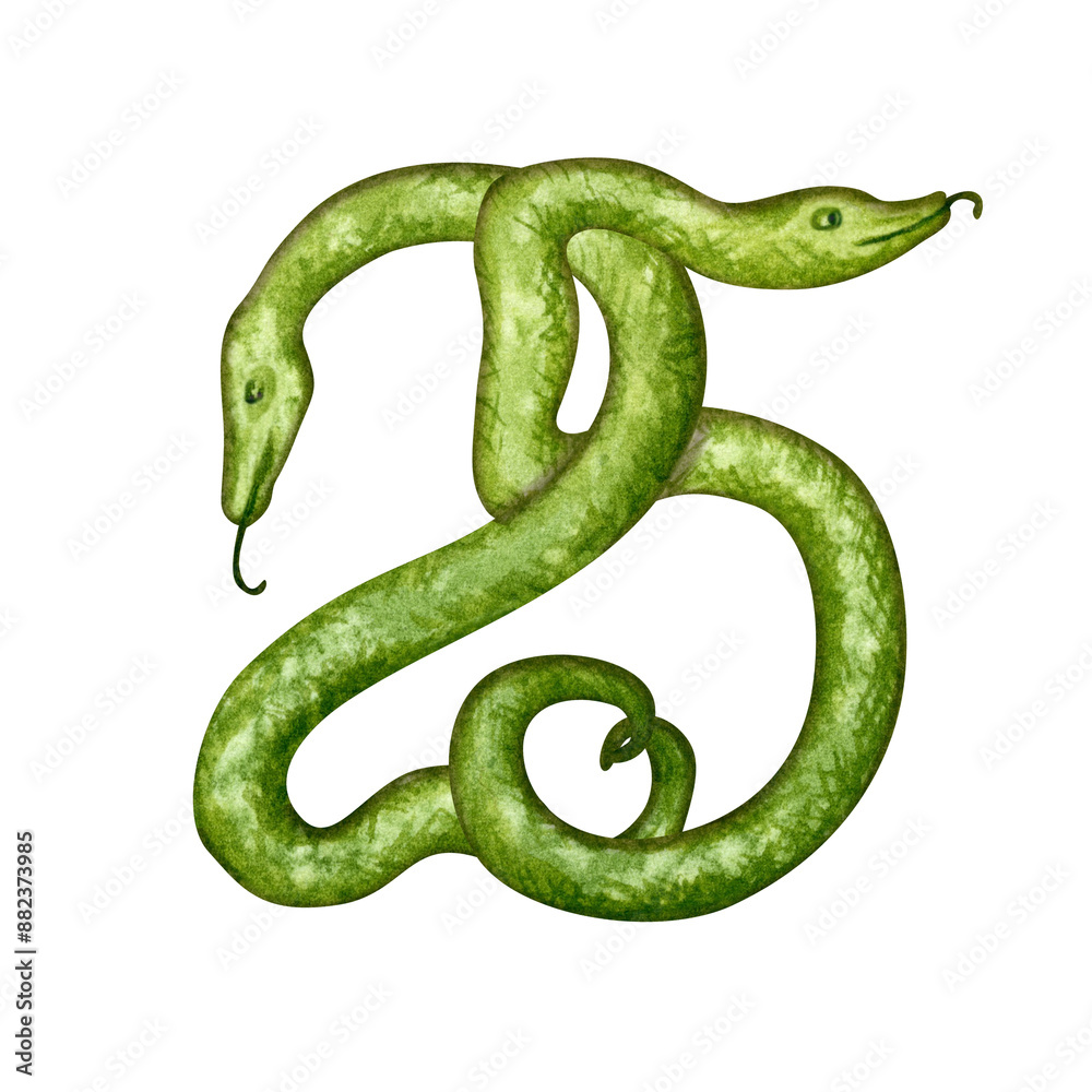 The number 25 of intertwined green snakes to celebrate a wedding anniversary, birthday in the year of the Green Wooden Snake for to the eastern calendar. Watercolor illustration for templates The number 25 of intertwined green snakes to celebrate a wedding anniversary, birthday in the year of the Green Wooden Snake for to the eastern calendar. Watercolor illustration for templates
