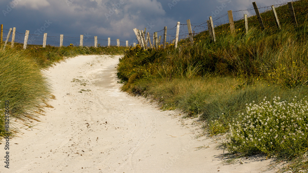 Sand path off the beach up a country lane