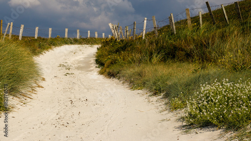 Obraz na płótnie Sand path off the beach up a country lane w salonie