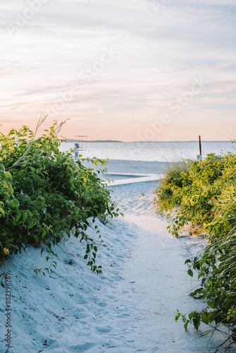 Beach Path