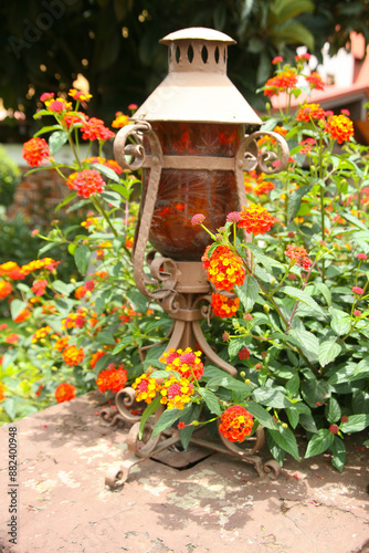 Flowers surround the Lantern