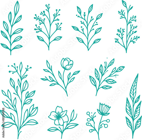 Minimal feminine botanical floral branch in silhouette style. Hand drawn wedding herb, minimalistic flowers with elegant leaves. Botanical rustic trendy greenery vector