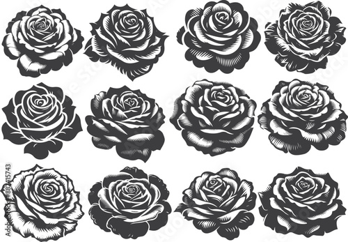 Set of vector black silhouettes of rose flowers isolated on a white background