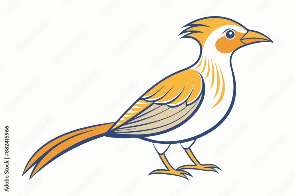 Obraz premium African citril bird vector illustration white background