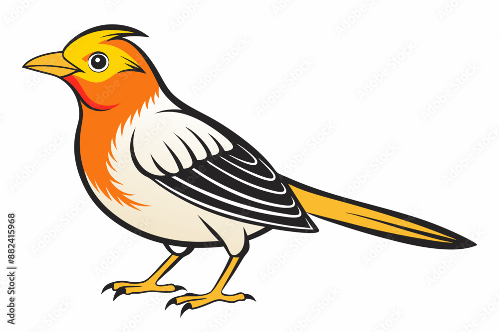 Obraz premium African citril bird vector illustration white background