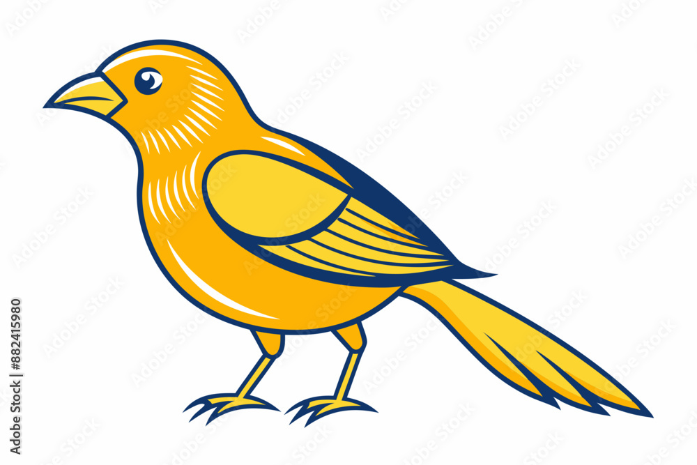 Obraz premium African citril bird vector illustration white background