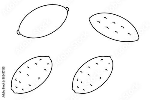 Kibbeh Line Art Artwork Middle Eastern Cuisine Hand Drawing Illustration photo