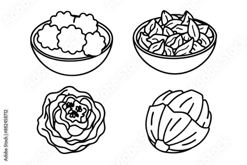 Kimchi Line Art Design Illustration Korean Cuisine Drawing