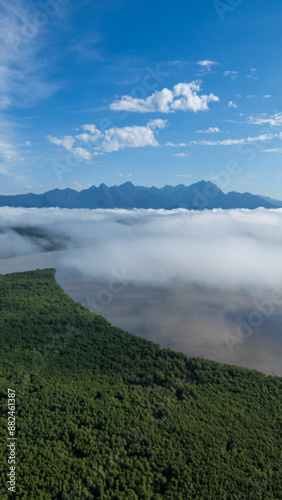 Vale do Gigante, em Antonina, no Brasil / Giant Valley, in Antonina, in Brazil