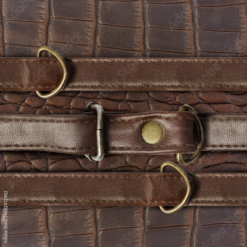 Konstfotografi Seamless 4k photo texture photo of brown colored alligator reptile skin leather wristband material with straps  belt and harness