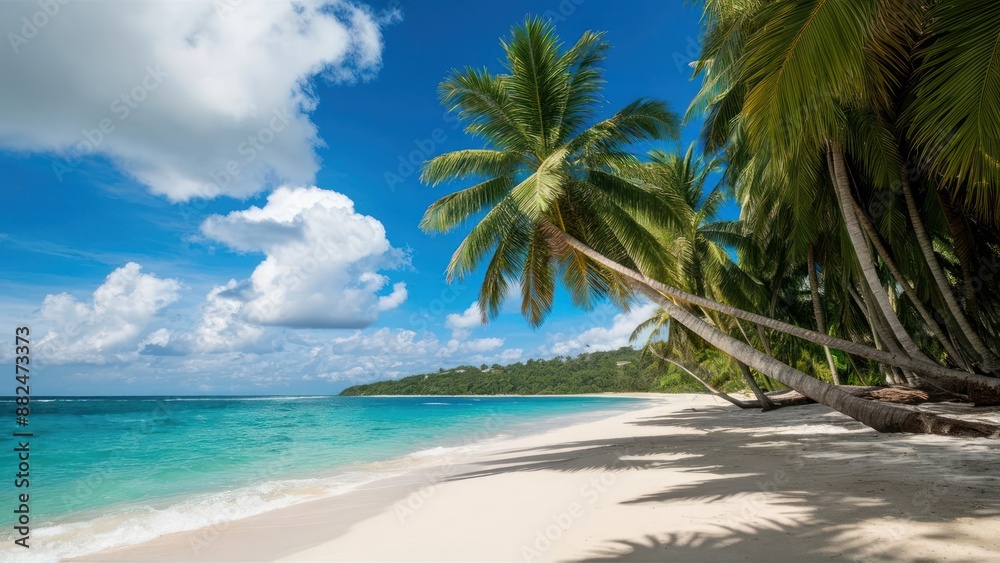 Beautiful Tropical Beach Banner with White Sand and Coco Palms Beautiful Tropical Beach Banner with White Sand and Coco Palms