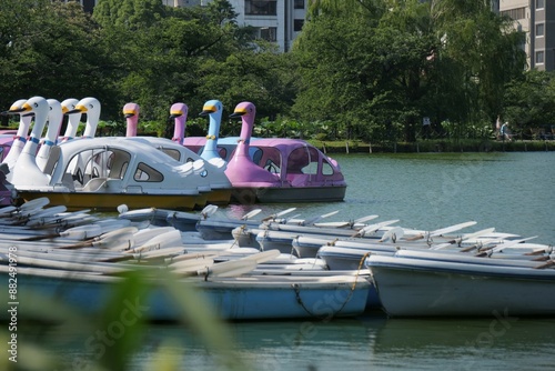 池に係留されている手漕ぎボートとペダルボート