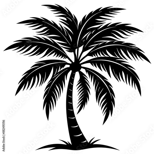 Palm tree silhouette vector illustration