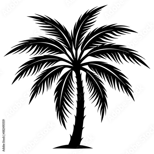 Palm tree silhouette vector illustration