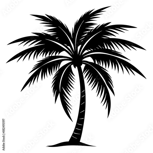 Palm tree silhouette vector illustration