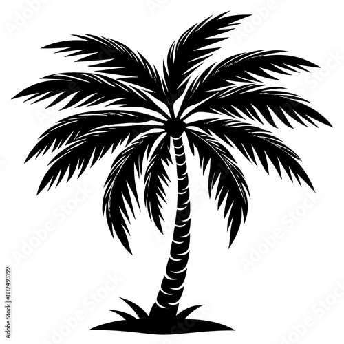 Palm tree silhouette vector illustration