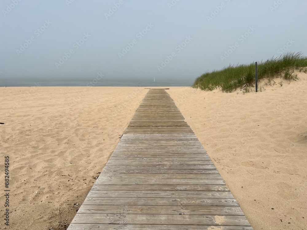 Obraz premium path to the beach