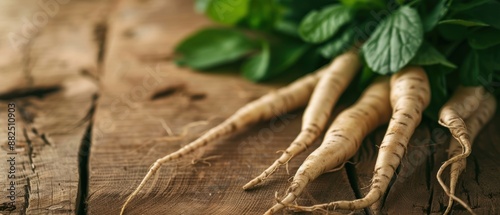 Fresh ginseng roots with green leaves on rustic wooden surface, highlighting natural health benefits and traditional medicine uses. photo