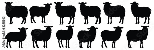 Sheep silhouettes set, pack of vector silhouette design, isolated background
