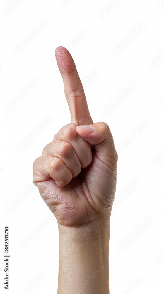 Hand holding or pointing to something on white backgrounds Hand holding or pointing to something on white backgrounds