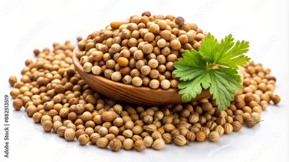 A pile of seeds with a green leaf on top A pile of seeds with a green leaf on top