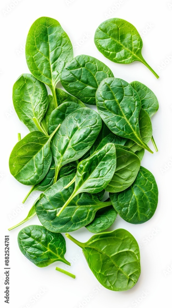 Fototapeta premium Pile of fresh green baby spinach leaves isolated on white background. Close up. Flat lay. Food concept. Macro concept