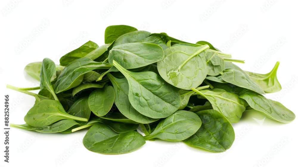 Pile of fresh green baby spinach leaves isolated on white background. Close up. Flat lay. Food concept. Macro concept Pile of fresh green baby spinach leaves isolated on white background. Close up. Flat lay. Food concept. Macro concept