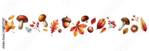 Autumn border with leaves ,mushrooms,acorns,berries. Wave of falling leaves. Leaf fall. Autumn flying leaves. Watercolor leaves in the wind. Autumn leaves seamless border.