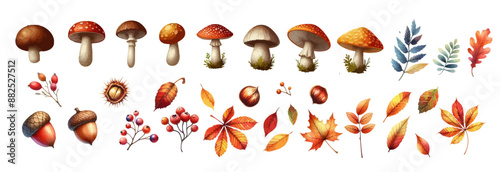 Autumn icons set with leaves ,mushrooms,acorns,berries. Leaf fall. Autumn flying watercolor leaves. Vector autumn elements isolated on white background. photo